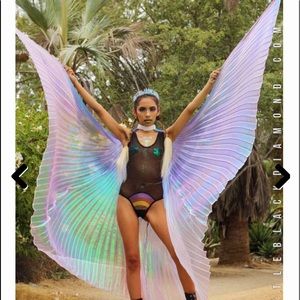 Giant fairy wings new
